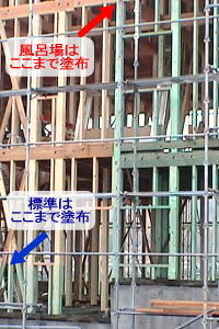 湿気の多いところですから念入りに予防対策をしております